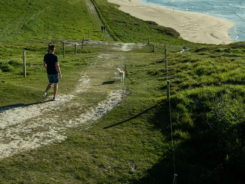Someone walking a dog along a clifftop path above a long sandy beach